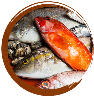 毎日新鮮な魚を入荷